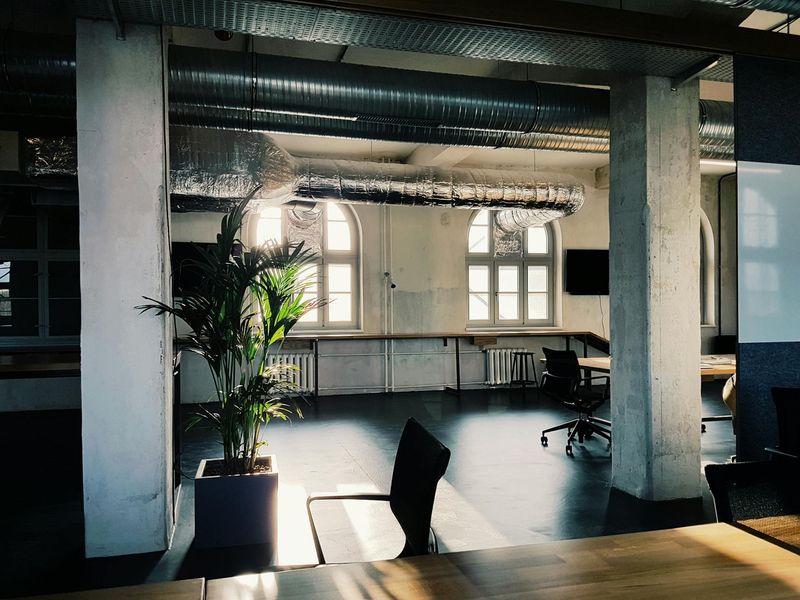 Bright modern office with plants and large windows.